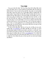 Luận văn phân tích thực trạng quảng bá thương hiệu của website www chodientu vn 