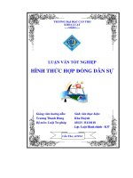 Hình thức hợp đồng dân sự