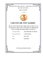 THỰC TRẠNG PHÁT TRIỂN CÔNG TY QUẢN lý tài sản QUỐC GIA VIỆT NAM và GIẢI PHÁP tài CHÍNH NHẰM NÂNG CAO HIỆU QUẢ HOẠT ĐỘNG tại CÔNG TY 