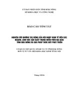 NGHIÊN cứu NHỮNG tác ĐỘNG của hội NHẬP KINH tế đến các NGÀNH, LĨNH vực sản XUẤT TRỌNG điểm TRÊN địa bàn TỈNH đăk NÔNG và GIẢI PHÁP THÚC đẩy PHÁT TRIỂN 