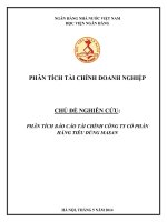 TIỂU LUẬN Phân tích báo cáo tài chính công ty cổ phần Masan