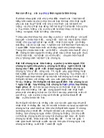 Hai con đường của sự chú ý bên ngoài và bên trong 