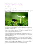 10 điều “chớ” đừng quên trong cuộc sống 