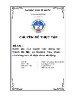 Đánh giá của người tiêu dùng nội thành hà nội về thương hiệu bán lẻ chuỗi cửa hàng điện thoại di động 