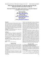 Phân tích khả năng chẩn đoán các bệnh tim mạch bằng ảnh pha thông qua mô hình tín hiệu điện tim nhân tạo