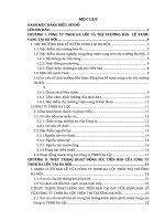 Hoạt động xúc tiến bán tại kênh bán lẻ của công ty TNHH đa lộc trên địa bàn hà nội 