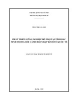 Phát triển công nghiệp hỗ trợ tại tỉnh bắc ninh trong bối cảnh hội nhập kinh tế quốc tế 