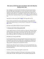 tình yêu có thể làm bạn trở thành một nhà tiếp thị thông minh hơn 