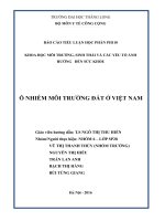 ô nhiễm môi trường đất ở việt nam