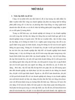 Hoàn thiện kế toán  doanh thu, chi phí và xác định kết quả kinh doanh tại công ty TNHH MTV vật liệu xây dựng SECOIN hà tây 