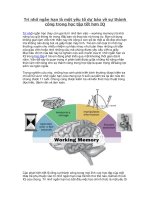 Trí nhớ ngắn hạn là một yếu tố dự báo về sự thành công trong học tập tốt hơn IQ 