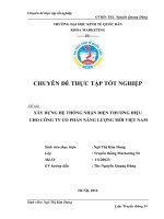 XÂY DỰNG hệ THỐNG NHẬN DIỆN THƯƠNG HIỆU CHO CÔNG TY cổ PHẦN NĂNG LƯỢNG mới VIỆT NAM 