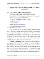 Báo cáo thực tập tại công ty CP tin học viễn thông petrolimex 