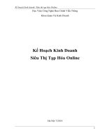 Kế hoạch kinh doanh siêu thị tạp hóa online 