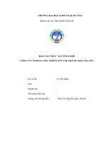 Tổng quan về chi nhánh thái nguyên – công ty cổ phần viễn thông FPT  