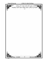 KIỂM TOÁN KHOẢN mục nợ PHẢI THU KHÁCH HÀNG TRONG QUY TRÌNH KIỂM TOÁN báo cáo tài CHÍNH DO CÔNG TY TRÁCH NHIỆM hữu hạn KIỂM TOÁN DFK VIỆT NAM THỰC HIỆN 