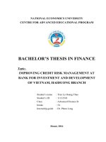 IMPROVING CREDIT RISK MANAGEMENT AT BANK FOR INVESTMENT AND DEVELOPMENT OF VIETNAM, HAIDUONG BRANCH 