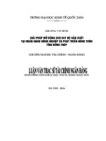 GIẢI PHÁP mở RỘNG CHO VAY hộ sản XUẤT tại NGÂN HÀNG NÔNG NGHIỆP và PHÁT TRIỂN NÔNG THÔN TỈNH ĐỒNG THÁP 