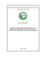 ĐÁNH GIÁ TÌNH HÌNH sử DỤNG đất tại THÀNH PHỐ điện BIÊN PHỦ  TỈNH điện BIÊN 