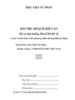 Bai thu hoach dien an HSDS 12