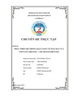 PHÁT TRIỂN hệ THỐNG đại lý bán vé máy BAY của VIETNAM AIRLINES – CHI NHÁNH MIỀN bắc 