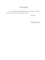 Một số giải pháp nâng cao hiệu quả sử dụng vốn tại công ty TNHH yến sào sài gòn 