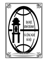 THỰC TRẠNG và GIẢI PHÁP THU hút KHÁCH nội địa của CÔNG TY DU LỊCH s VIỆT 