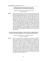 HIỆN TRẠNG RỪNG NGẬP MẶN Ở DẢI VEN BỜ NAM TRUNG BỘ (TỪ ĐÀ NẴNG ĐẾN NINH THUẬN