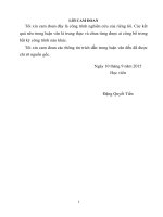 Nghiên cứu về mã trải phổ và ứng dụng của nó trong kỹ thuật đa truy nhập phân chia theo mã (CDMA)