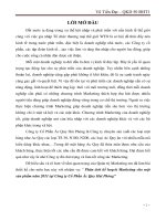 Luận văn phân tích kế hoạch marketing cho một sản phẩm năm 2011 tại công ty cổ phần ác quy hải phòng 