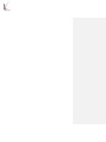 Thương hiệu của mạng di động VinaPhone trên thị trường VN