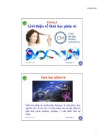 Chuong 1 gioi thieu ve sinh hoc phan tu1