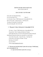 Báo cáo thực tập tại công ty TNHH thương mại và công nghiệp mỹ việt 