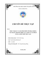 THỰC TRẠNG và GIẢI PHÁP đối với HOẠT ĐỘNG xây DỰNG THƯƠNG HIỆU của CÔNG TY cổ PHẦN NĂNG LƯỢNG mới VIỆT NAM 