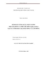 ĐÁNH GIÁ NĂNG SUẤT, CHẤT LƯỢNG MỘT SỐ GIỐNG CÀ PHÊ CHÈ MỚI (Coffea arabica) TẠI CÁC TỈNH ĐẮK LẮK, ĐẮK NÔNG VÀ LÂM ĐỒNG