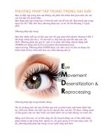 PHƯƠNG PHÁP tập TRUNG TRONG HAI GIÂY 