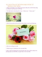 30 CÁCH ỨNG xử dễ DÀNG học được từ TRONG CUỘC SỐNG 