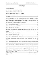 Thực hiện thủ tục kiểm tra chi tiết trong kiểm toán báo cáo tài chính tại công ty TNHH kiểm toán và thẩm định giá việt nam 