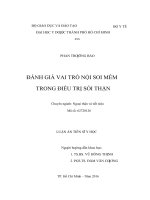 NỘI SOI MỀM TRONG CHỮA SỎI THẬN