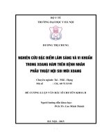 Nghiên cứu đặc điểm lâm sàng và vi khuẩn trong xoang hàm trên bệnh nhân phẫu thuật nội soi mũi xoang 
