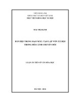 luận án bản hội trong đạo mẫu tạo lập vốn xã hội trong bối cảnh chuyển đổi
