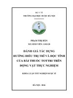ĐÁNH GIÁ tác DỤNG HƯỚNG điều TRỊ TRĨ và độc TÍNH của bài THUỐC TOTTRI TRÊN ĐỘNG vật THỰC NGHIỆM 
