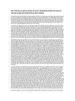 Các bài nghị luận xã hội văn học hay