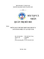 NHỮNG HẠN CHẾ KHI TRIỂN KHAI DỊCH VỤ NGÂN HÀNG điện tử TẠI VIỆT NAM 