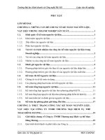 kế toán nguyên liệu, vật liệu tại công ty TNHH thương mại dịch vụ thể thao đông dương 