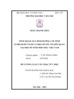 TÌNH TRẠNG SUY DINH DƯỠNG cấp TÍNH ở TRẺ dưới 5 TUỔI và một số yếu tố LIÊN QUAN tại một số TỈNH MIỀN bắc VIỆT NAM 