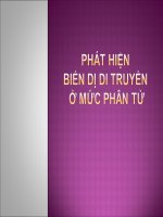 KỸ THUẬT PHÂN TỬ TRONG DI TRUYỀN HỌC