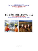 BỘ câu hỏi LƯỢNG GIÁ sức KHỎE NGHỀ NGHIỆP DÙNG CHO học VIÊN CAO học y học dự PHÒNG 