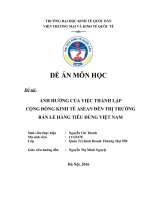 ẢNH HƯỞNG của VIỆC THÀNH lập CỘNG ĐỒNG KINH tế ASEAN đến THỊ TRƯỜNG bán lẻ HÀNG TIÊU DÙNG VIỆT NAM 