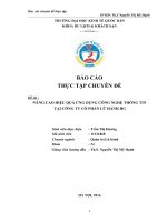 NÂNG CAO HIỆU QUẢ ỨNG DỤNG CÔNG NGHỆ THÔNG TIN tại CÔNG TY cổ PHẦN lữ HÀNH HG 
